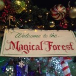 Magical Forrest